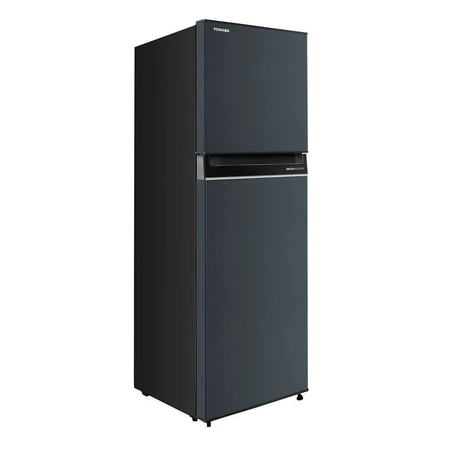 GR RT303WE PMV52 Tu Lanh Toshiba Inverter 233 lit GR RT303WE PMV52 PureBio cong nghe Ag BIO giu thuc pham tuoi