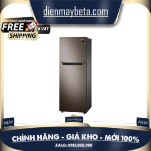 Tủ lạnh Samsung Inverter 236 lít RT22M4040DX/SV - Mới 100%