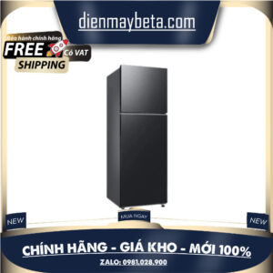 Tủ Lạnh Samsung Inverter 348 Lít RT35CG5424B1SV