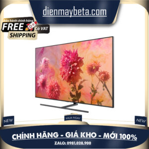 65Q9FNA - Smart Tivi QLED Samsung QA65Q9FNA 65 inch