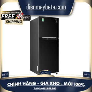 Tủ lạnh Samsung Inverter 256L RT25M4032BU/SV
