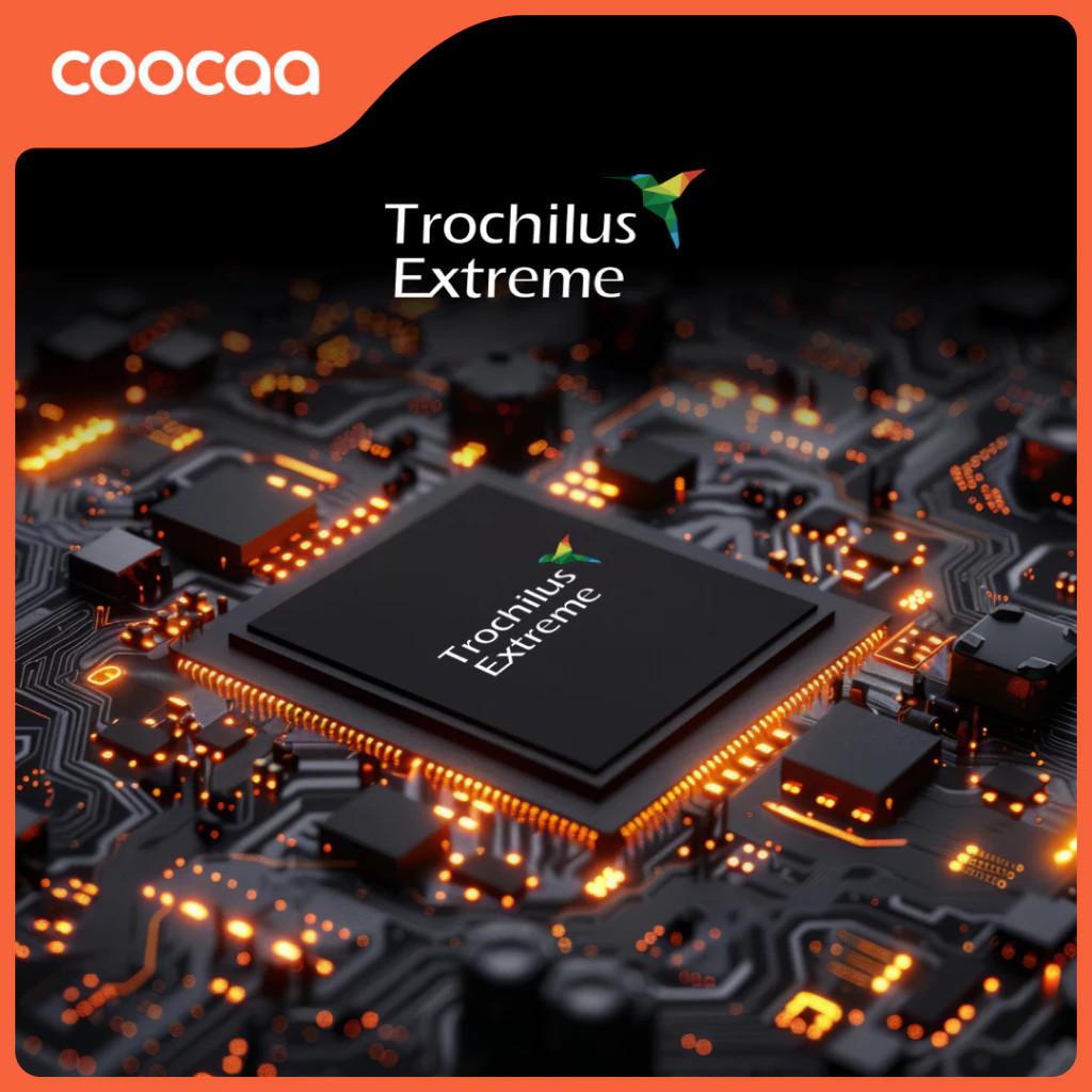 images-upload-woo2F0e15a88af170aae663894650259fe562.jpg images upload woo2F0e15a88af170aae663894650259fe562