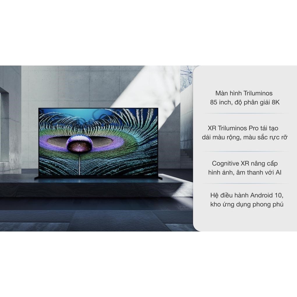 images-upload-woo2F1d39521fca13ddd6cd778fd462e8acef.jpg images upload woo2F1d39521fca13ddd6cd778fd462e8acef