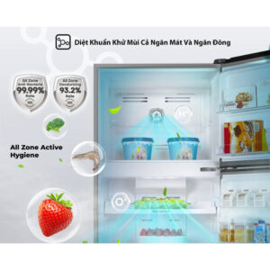 RT256N4EBN - Tủ Lạnh Hisense Inverter 205 Lít - Giao Hàng Toàn Quốc images upload woo2F79cfb3037087f9fd4bc7ad5f646bd5e0