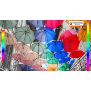 Smart Tivi Sony OLED KD-65A9F 65 inch 4K Ultra HD /Chính hãng BH:24 tháng tại nhà toàn quốc> - Mới 100% Mới 100% images upload woo2F80172eca6a9ea5e2e5586b420319652a