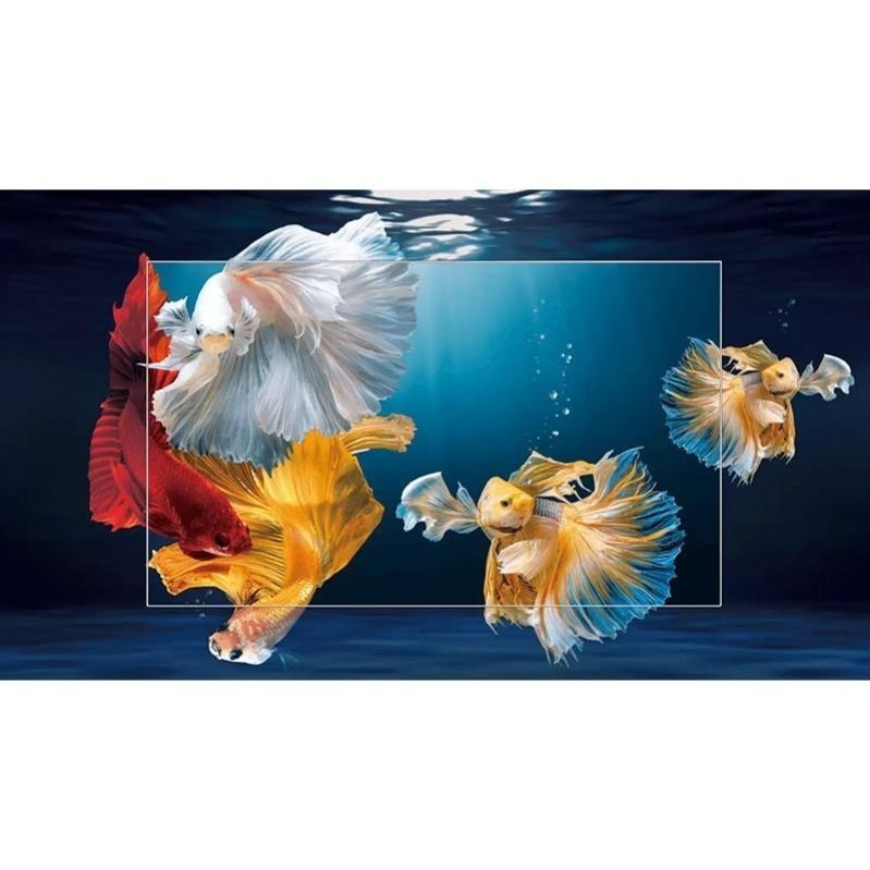 images-upload-woo2F80d443ea8429421e52ec4117e5d52cbf.jpg images upload woo2F80d443ea8429421e52ec4117e5d52cbf