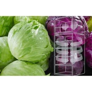 Tủ lạnh Inverter Electrolux 225 lít ETB2502J-H - Mới 100% Mới 100% images upload woo2Fc919ea3ba084d5d98bf8ae488a7a4590