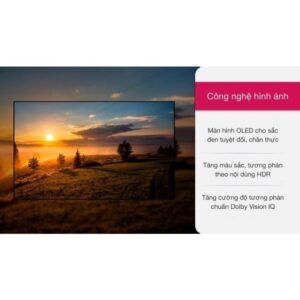 Smart Tivi OLED LG 4K 65 inch 65A1PTA (Hàng tồn kho NEW Bảo hành chính hãng 2 năm) Mới 100% images upload woo2Fde96634d9c681e2bdf7c86b8e9ce068b