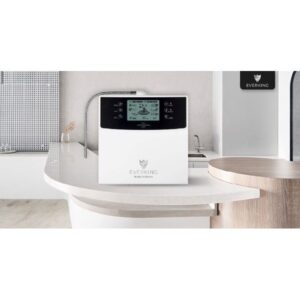 Máy Lọc Nước Điện Giải EVERKING EK-99 Hàn Quốc - Hàng Nhập Khẩu images upload woo2Fe289ddc03ddbcdd401df551cb846ad7b