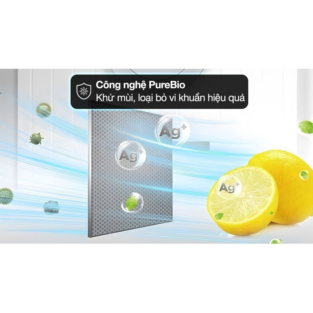 images-upload-woo2Ffae215fcc93b94524c19185f8412236d.jpg images upload woo2Ffae215fcc93b94524c19185f8412236d