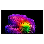 [MODEL 2026] LG Smart TV OLED 4K OLEDG6PSA 77/65/55 inch